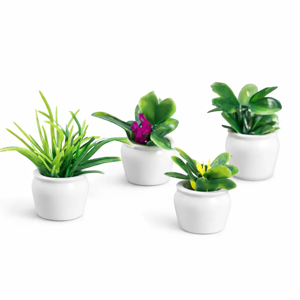 Set of 4 Mini Plants